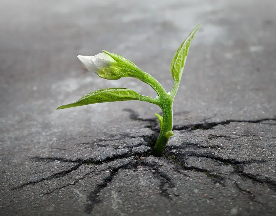 Asphalt-Patching--in-Blessing-Texas-asphalt-patching-blessing-texas.jpg-image